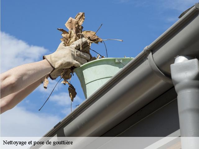 Nettoyage et pose de gouttière  27400